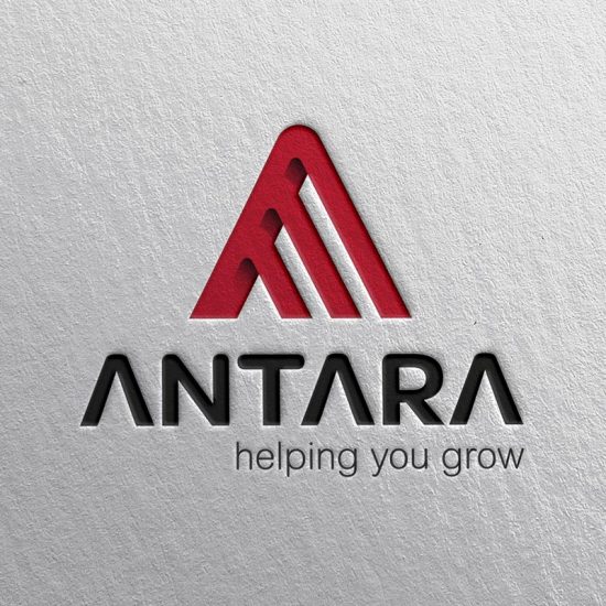 diseno de logotipo para empresa barcelona 550x550 - Restyling. Identidad corporativa. Branding. Servicios