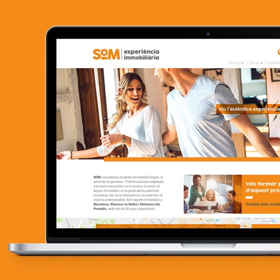 creacion de pagina web inmobiliaria 550x550 - Mucho más que un diseño de web