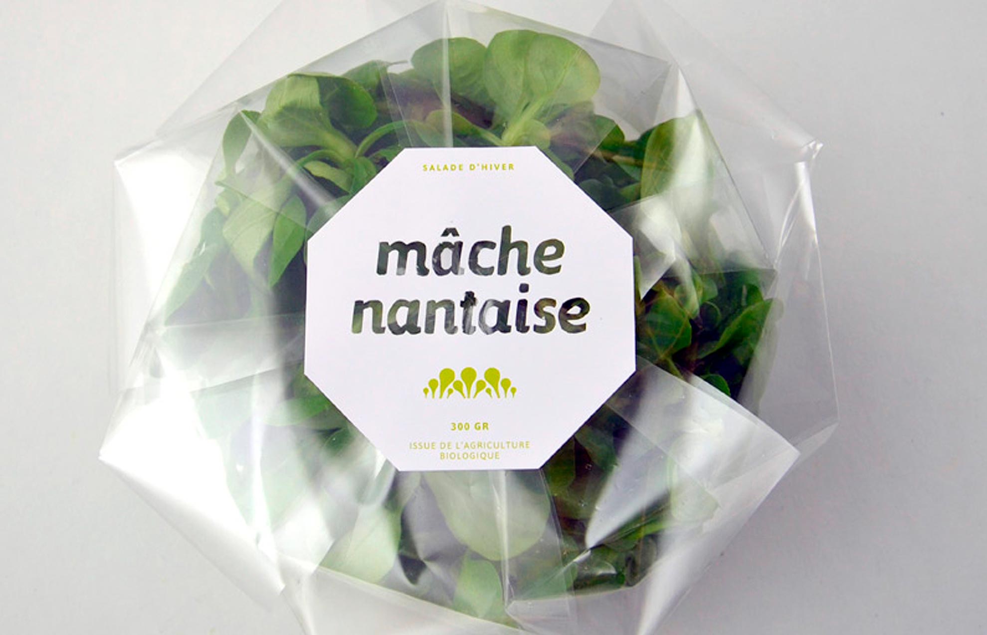 creacion de packaging - ¿Es posible hacer un packaging ecológico? Te lo contamos