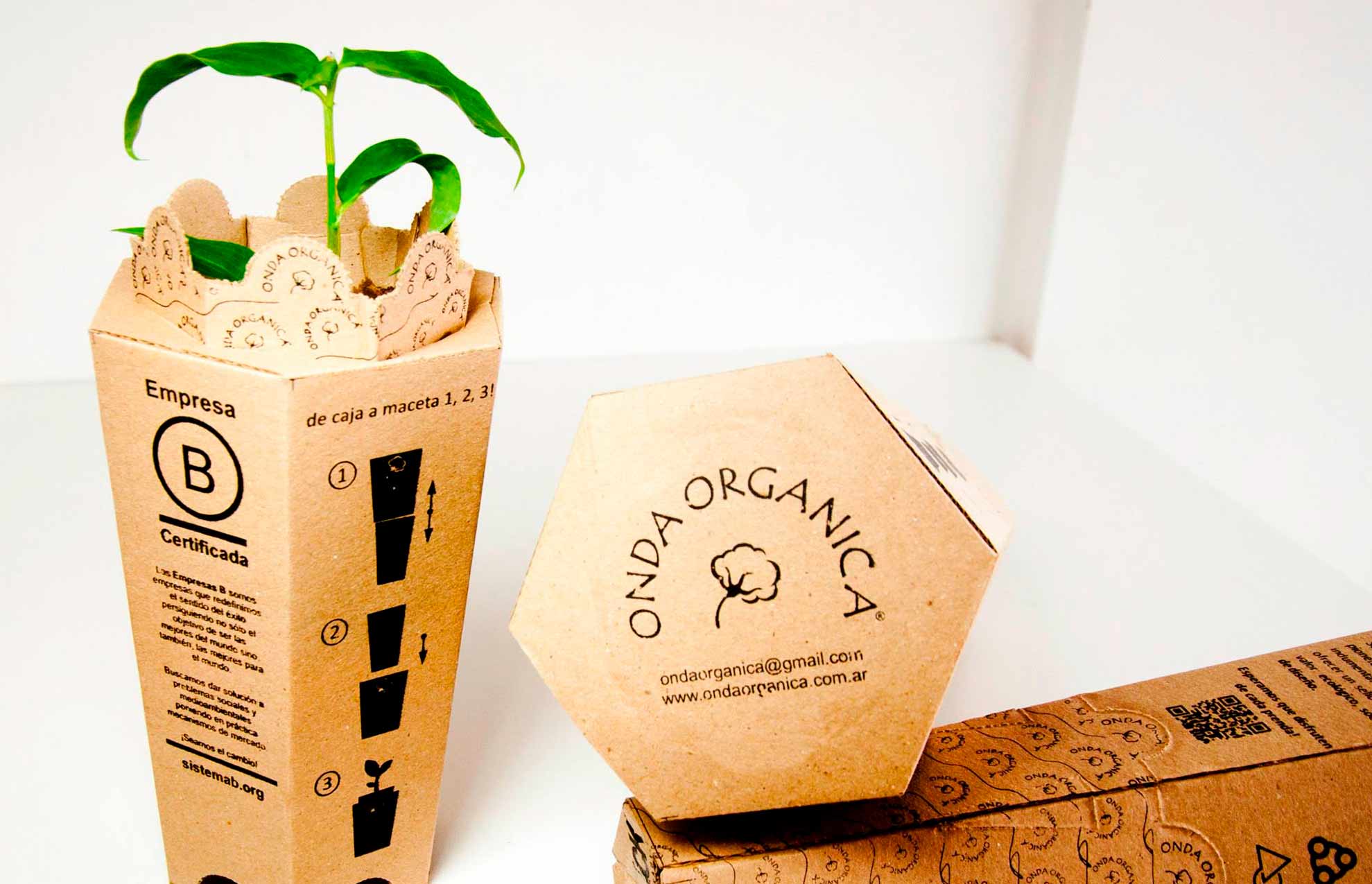 estudio de diseno de packaging - ¿Es posible hacer un packaging ecológico? Te lo contamos