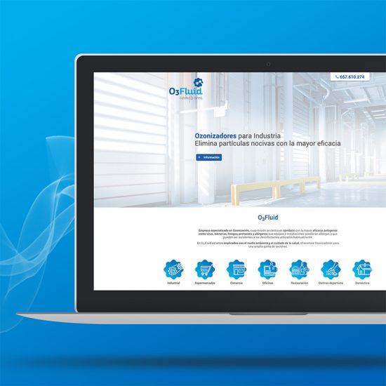 diseno de landing page maquinas ozono 550x550 - Diseño de Landing Page