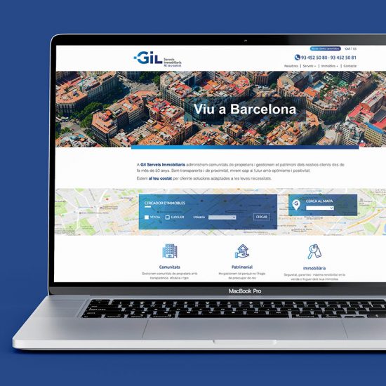 diseno de website inmobiliaria 1 550x550 - Creación web para el sector inmobiliario