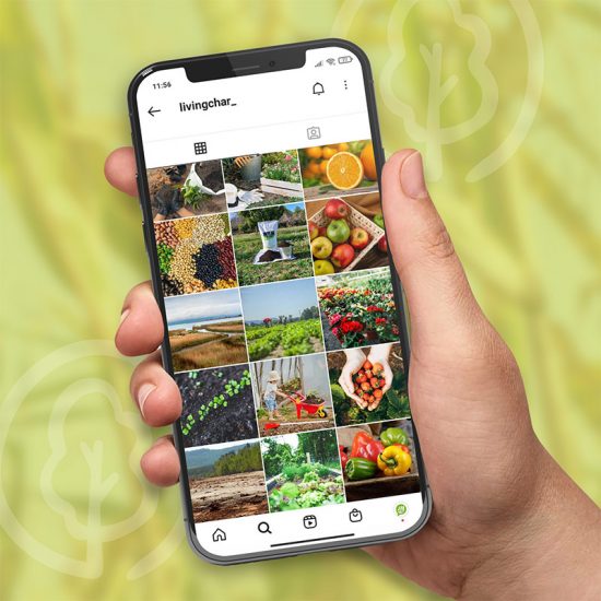 estretegia redes sociales agricultura 550x550 - Estrategia de acciones en redes sociales